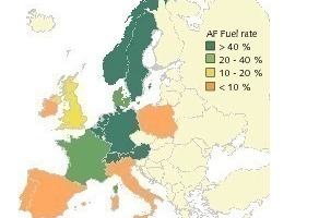  17	The co-processing situation in Europe  