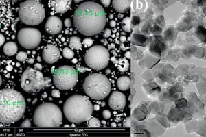  2 (a) SEM image of FA and (b) TEM image of NT 