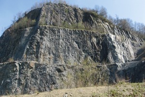  Decomposition behaviour of limestones of different origin 