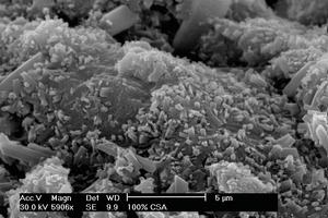  	REM-Mikrogefügebilder von S.A. cement SR03 Zementpaste (Aushärtung 3 h, w/c= 0.45, mit prismatischen Ettringit-Kristallen) 