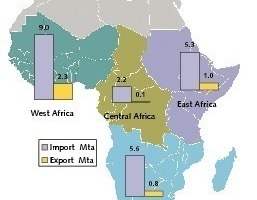  	Zementimporte und Exporte in Subsahara 2008 (OneStone) 