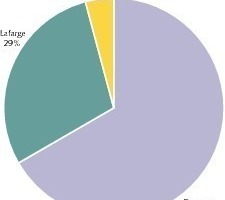  21	Market shares in Nigeria 2008 (OneStone) 