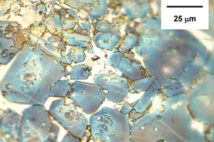  C3S-Kristalle unterschiedlicher Größe (von 10 bis 50 µm). Fast alle haben Einschlüsse (vorrangig C2S) und korrodierte Ränder (Klinker D). 