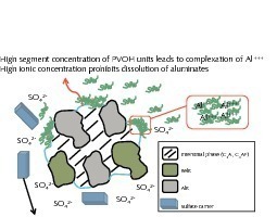  6	Model of the effect of polyvinyl alcohols on the hydration of CEM I 42.5 N cement 