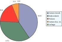  4	Market shares (capacity in Mta) in Indonesia 2009 