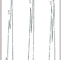  1 XRD spectra of laboratory fired clinkers, A = 1350°C – 1 hour, B = 1400°C – 1 hour, C = 1350°C – 2 hours 