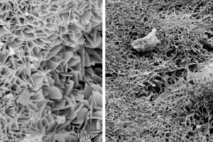  	Gefügeausschnitt nach thermischer Behandlung bei a) 350 °C und b) 850 °C (REM) 