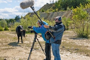  3 This summer, new-born calves joined the herd of Taurus cattle 