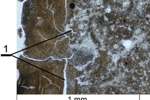  13	Microfabric of lime produced when using the Jurassic limestone with macrocracks caused by thermal decomposition dispersed on the microstructure (1) 