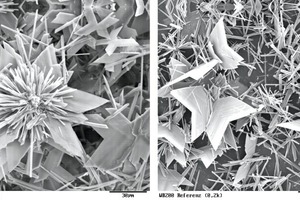  Dihydrate crystals crystallized from suspension (starting ­material – hemihydrate plaster) 