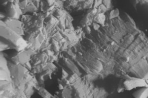  12 Scanning electron micrographs of the reference high belite clinker paste (plate A) and the high belite clinker I paste (plate B) cured for 180 days 