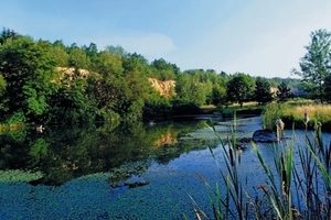  Biodiversität in Abbaustätten fördern 