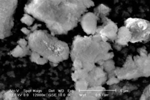  ESEM-Aufnahme des Filterrückstands FR1 