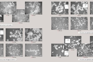  5 The solution and crystallization dynamic process of FGD gypsum with and without retarders 