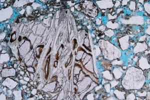  15 Detail image of an olivine from specimen W16 obtained with parallel polarizers 