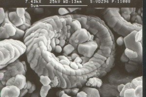  1	Coccolithe structure of chalk   