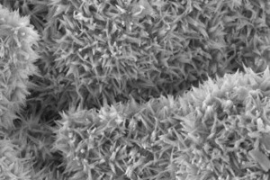  15	C3S after 18 h hydration time: a) Helix detector image of the needle-like C-S-H phases in their native state; b) the same C-S-H phases imaged with too high charge density (damage to the C-S-H crystal structure – typical formation of bubbles) 