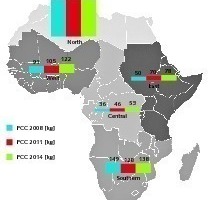  1 Development of the PCC in Africa 