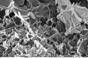  	Kartenhausstruktur in hydratisiertem Zementleim, Foto FEhS-Institut 