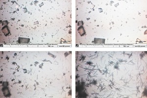  3 Results of in-situ optical microscopy on hydration of a-hemihydrate (1) [W/aHH-ratio: 0.8, Temperature: 23°C] 