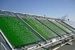  SolarConverter-­System im Betrieb in der Pilot­anlage in Leander, Texas/USA 