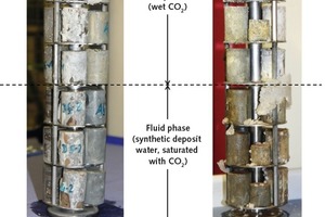  Erscheinungsbild der Zementprobenkörper nach 6 Monaten Lagerung in CO2 bei 90 °C und 400 bar Druck 