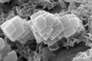  	Hydratisiertes C3S mit Calcitrhomboedern – Oberfläche gesputtert mit einer 2 nm dicken Goldschicht (V0  =  5 kV, rechts Vergrößerung 1000 000 x) 