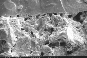  Polymer tempered tile adhesive: Adhesion supported by organic domains within the cementitious matrixPolymer-vergüteter  