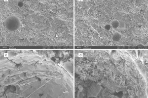  5 Electron microphoto­graphs of samples of hardened cement paste:a, c – flake of the ­sample with no ­admixture;b, d - flake of the sample with complex modifying agent.Remarks: a, b – ­magnification 100xc, d - magnification 2000x 