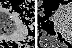  Ein bei einer Temperatur von 1170 °C neugebildetes C4A3Sˉ-Korn (links); EDX-Analysen zeigen, dass der innere dunkle Bereich aus unreagiertem Al2O3, der ­äußere Bereich aus CaSO4 besteht. C4A3Sˉ wird in der Übergangszone gebildet. Rechts: Ein großer und ein kleiner (&gt;10 µm) Belit in einem CSA-Klinker  