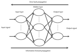  3 Schematic diagram of the BP neural network 