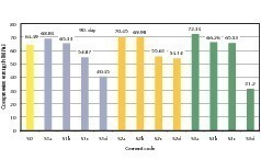  6	Compressive strength of mortar specimens at the age of 90 days 