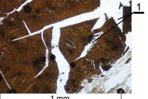  	Mikrogefüge des Branntkalks aus dem präkambrischen Kalkstein mit Mikrorissen durch die thermische Zersetzung (1-Makrorisse) 