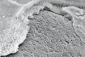  5 CSH phases in lime silica bricks (SEM picture) 