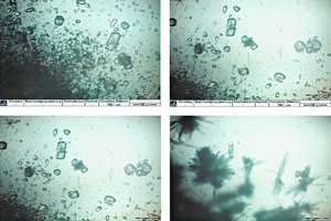  12 Results of in-situ optical microscopy on hydration of a-Hemihydrate (4) [W/aHH-ratio: 0.8, Temperature: 23 C] 