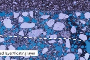  4 Resorbed shred of skin (arrow) at the boundary between combed layer and buttering layer (voids coloured blue; light microscopy on thin section) 