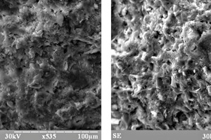  4 Fracture surfaces of normally set cement paste matrix (x 500) 