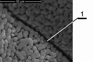  	Mikrogefüge eines Branntkalks aus dem Jura-Kalkstein (REM, 1-Mikroriss) 