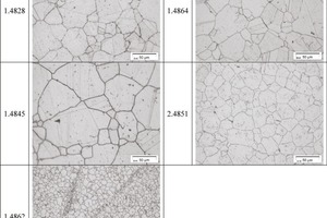  4	Results at a reducing atmosphere for 100 hours, LOM, 500x 