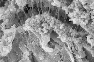  Accumulation of polymer strands in a binder matrix (left artefact after hot storage of the mortar at 70 °C, right thin-bed mortar at 28 d dry storage 