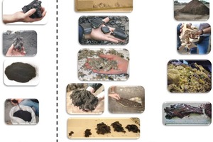  1 Examples of (a) gross and prepared traditional fuels and (b) alternative solid fuels that are usually found in cement plants 