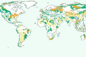  2 Map of global limestone abundance (own compilation of different geological maps). Green: Cretaceous and Jurassic; Blue: Triassic; Yellow: Tertiary; Brown: Perm and the Carboniferous 