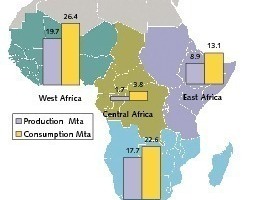  	Zementproduktion und Verbrauch in Subsahara 2008 (OneStone) 