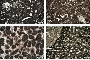  5 Microfacies analysis of carbonate rock samples. Symbols legend: PPL: plane-polarized light; XPL: cross-polarized light. a) Schematic profile of a carbonate platform. The presumed location of samples on the basis of typical depositional textures, and fossiliferous content is reported, as follows: 1: fore-reef open marine facies; 2: back-reef lagoonal facies; 3: shelf-edge oolite bars facies; 4: reef facies. b) Fossiliferous wackestone, sample 1 from Germany (PPL, 10X); c) Fossiliferous packstone, sample 2 from South Africa (PPL, 10X); d) Pisolitic-oolitic grainstone, sample 3 from UAE (PPL, 10X); e) Coralline boundstone, sample 4 from Malaysia (PPL, 10X); f) Diagenetic saccharine dolomite, sample 5 from Mexico (XPL, 3,5X). g) Calcitic marble with accessorial dolomite, quartz, and biotite, sample 6 from Congo (XPL, 3,5X) 