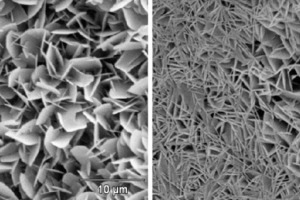  2	Scanning electron photomicrographs of the microstructure of P2‑0.35 AAC before thermal treatment 
