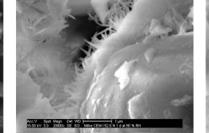 2 Scanning electron microscope photo­micrographs of the CEM I 52,5 N cement a) in the fresh state, and after exposure to moisture for b) 1 day and c) 3 days