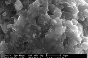 Geopolymer binder made from metakaoline