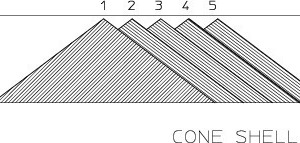 1 Illustration of the cone-shell method