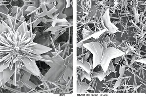 Dihydrate crystals crystallized from suspension (starting ­material – hemihydrate plaster)