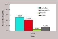 16 Cement data 2013 for Belarus